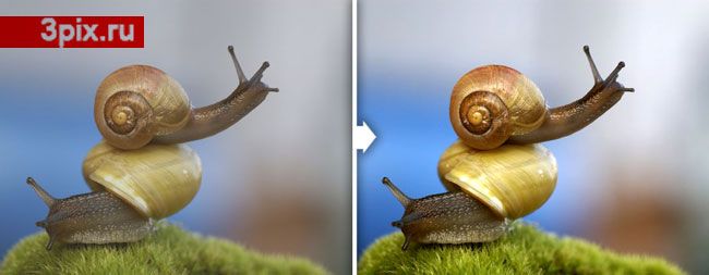 amélioration d'images