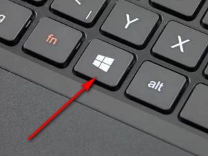 à quoi cela ressemble-t-il