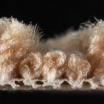 Comment nettoyer un tapis