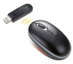 L'ordinateur portable ne voit pas la souris 