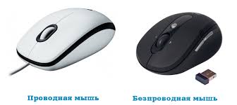 Types de souris 