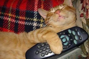 DORMIR AVEC LA TV ALLUMÉE