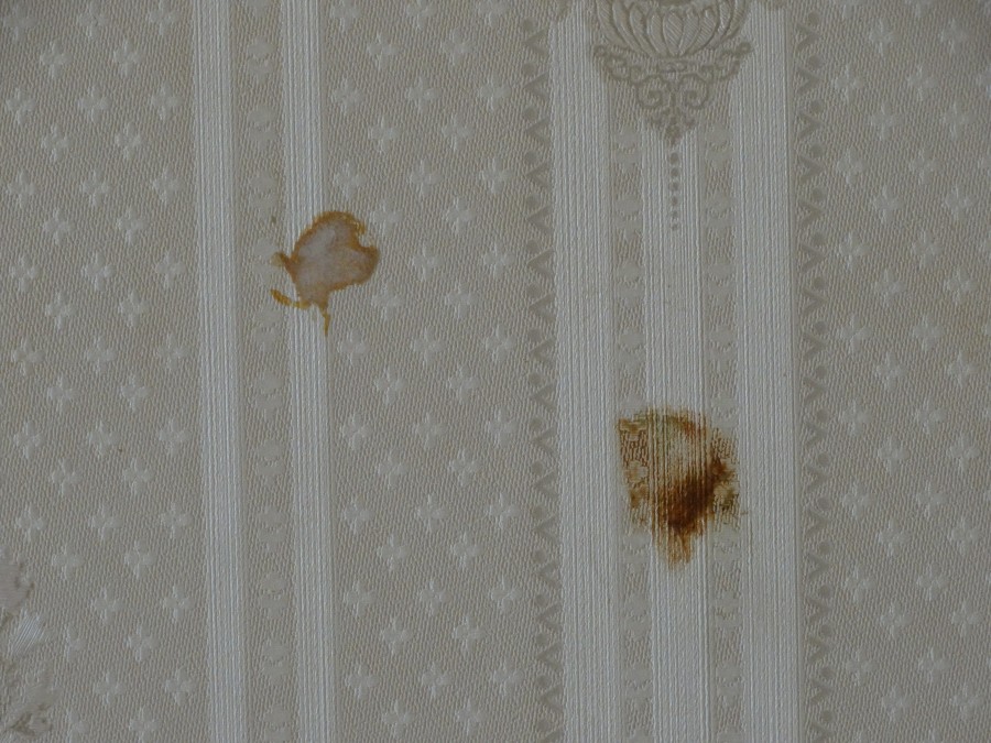 papier peint intissé