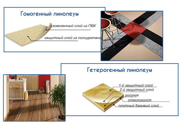 principales différences