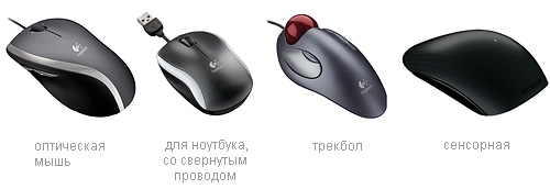 types de souris