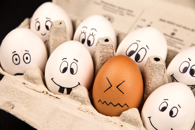 comment conserver les œufs