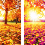 L'imprimante imprime avec une teinte violette.