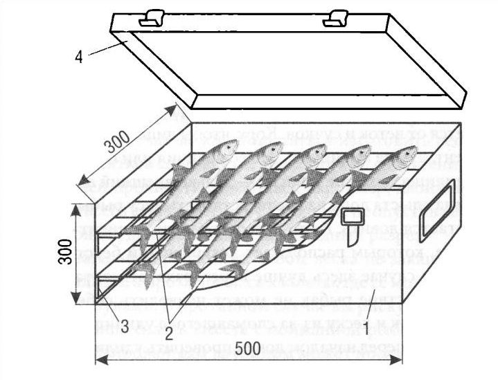 Dimensions du fumoir pour poisson.
