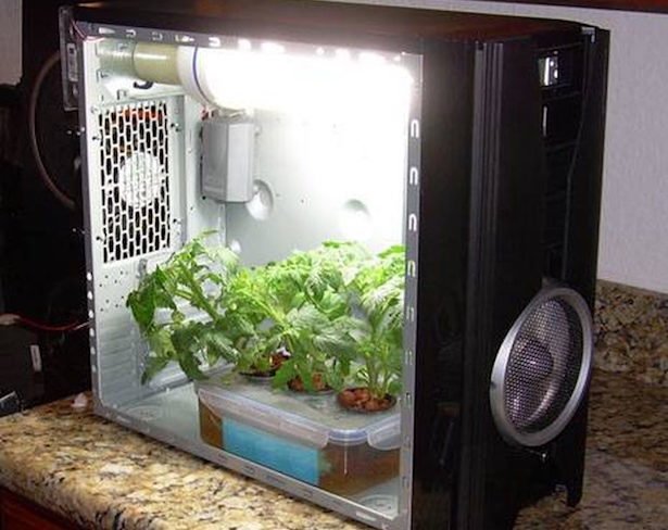 De l'unité du système de serre