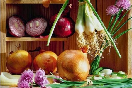oignon