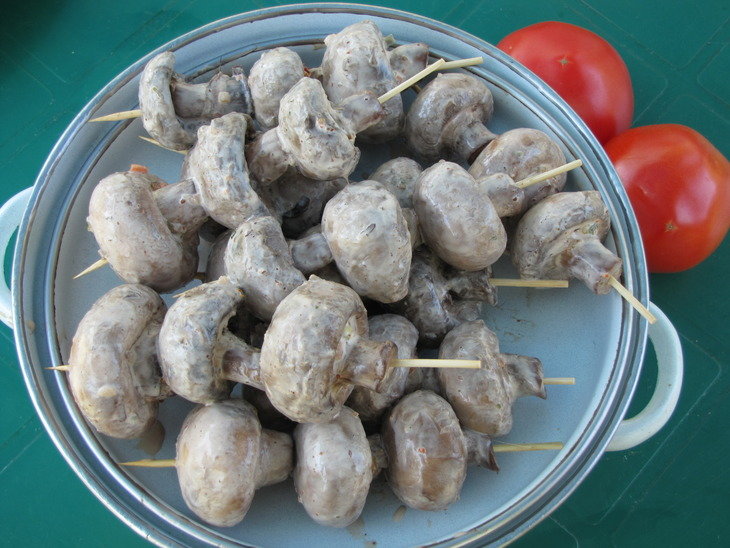 Champignons à la crème sure.