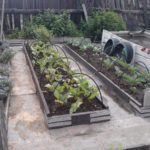 Pourquoi emporter des restes de linoléum dans votre datcha ?