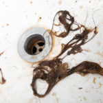 cheveux du drain de la salle de bain