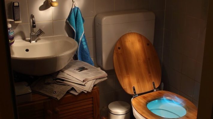 Pourquoi les gens n'utilisent-ils pas de brosses de toilettes aux États-Unis ?