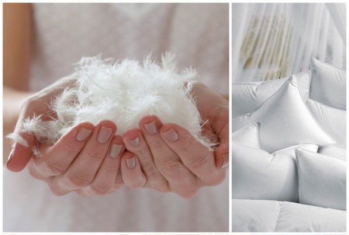 Plume d'un oreiller.