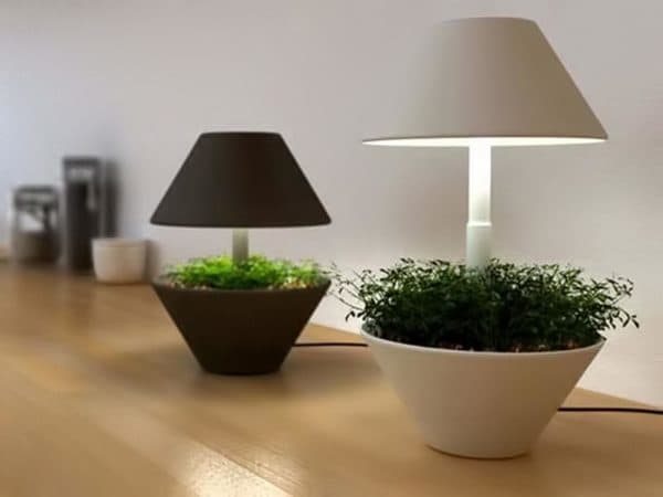 Lampes avec lit de jardin.