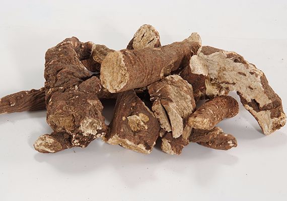 A quoi ressemble la racine de savon ?