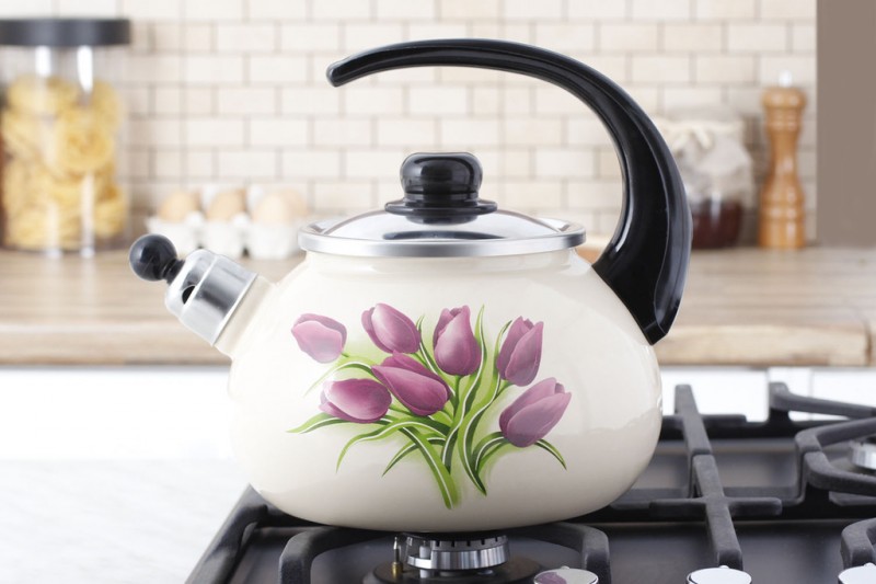 bouilloire pour cuisinière