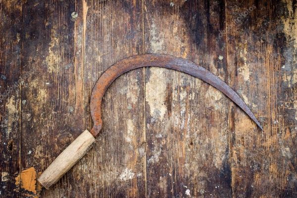 Ustensiles de cuisine disparus qui n'ont pas été utilisés depuis longtemps