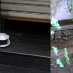 Pourquoi les Japonais placent-ils des soucoupes de sel dans les toilettes et autres pièces ?