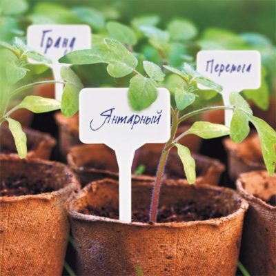 Que peut-on fabriquer à partir de vieux tubes de dentifrice et de crèmes