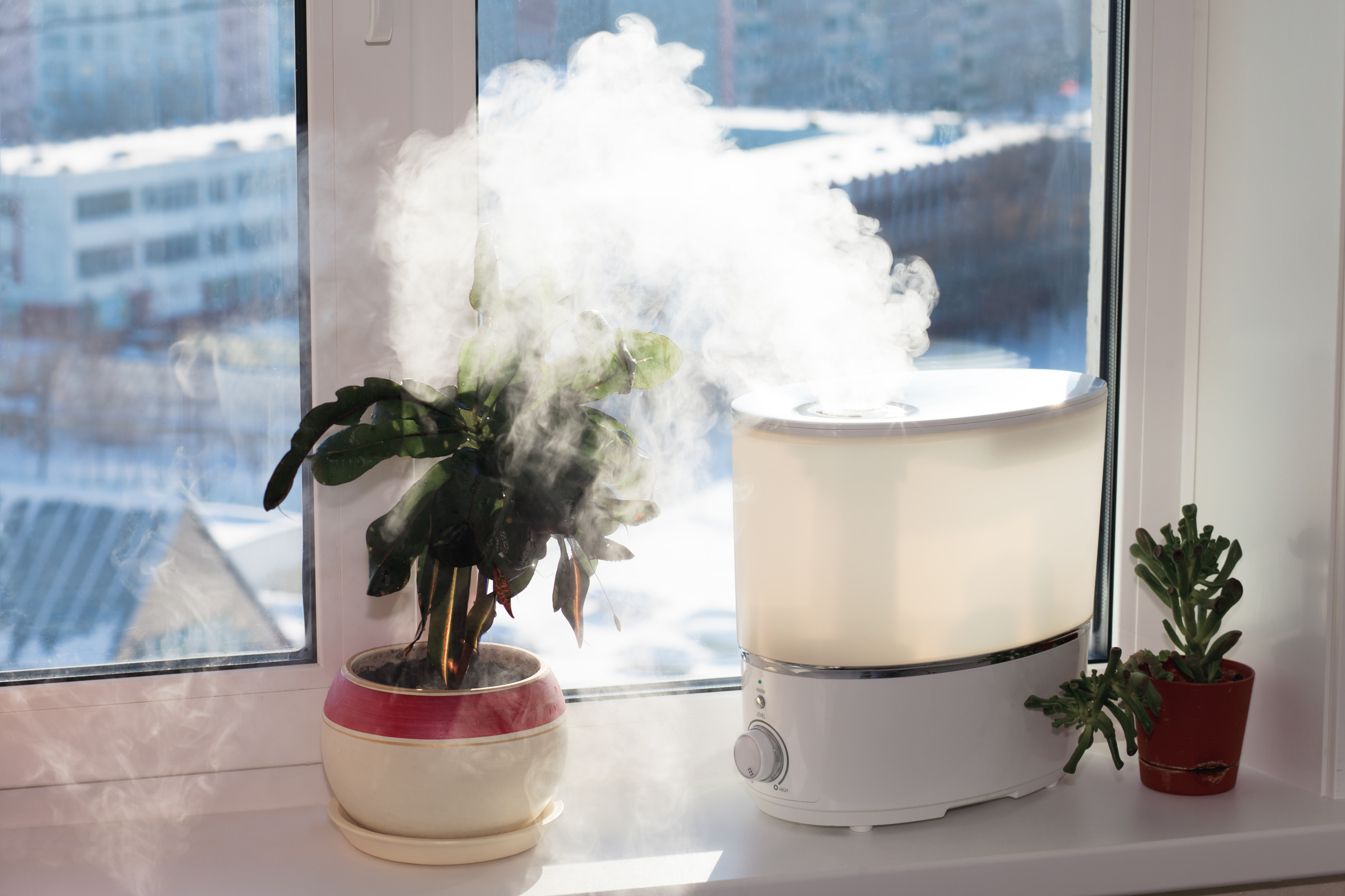 humidificateur