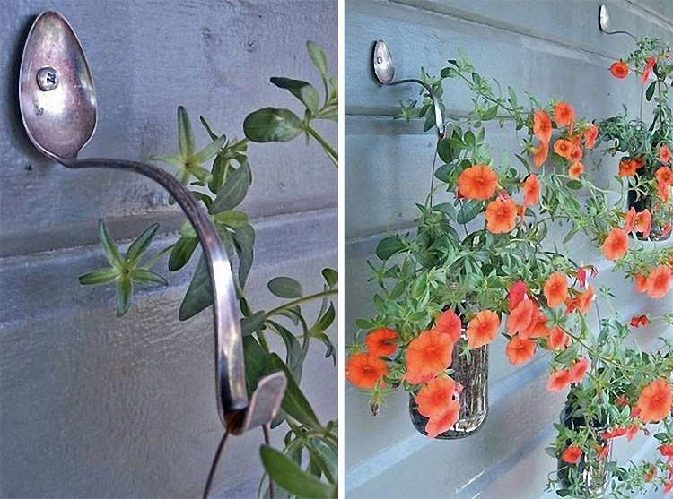 pour plantes d'intérieur