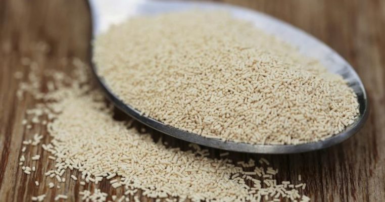 Que se passe-t-il si vous jetez de la levure dans les toilettes ?