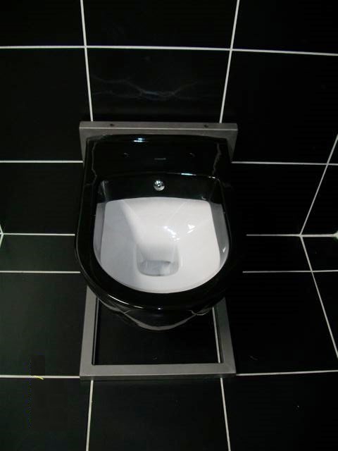 toilettes noires avec intérieur blanc