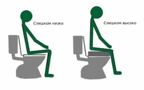 Mauvaise taille des toilettes.