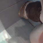 Tuyau reliant les toilettes à l'égout.