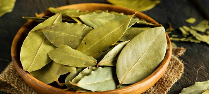 Remèdes populaires qui aident à éliminer longtemps la poussière dans la maison