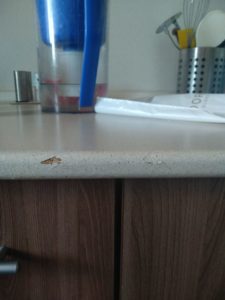 Comment retirer les copeaux d'un comptoir