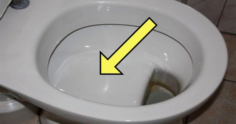 Pourquoi les toilettes soviétiques avaient-elles une étagère ?