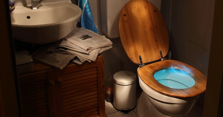 Pourquoi les toilettes soviétiques avaient-elles une étagère ?