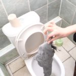 Que faire si un chiffon pénètre dans les toilettes