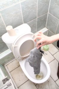 Que faire si un chiffon pénètre dans les toilettes
