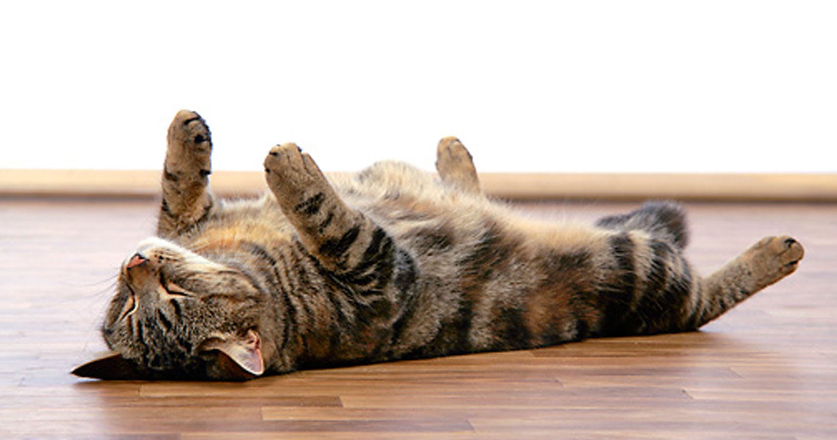 Une imprégnation est-elle nécessaire ?