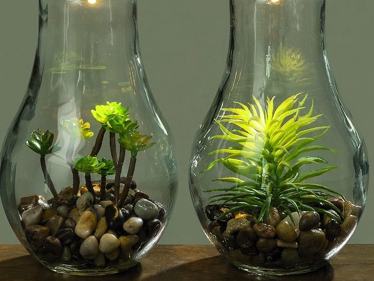 Florarium miniature décoratif dans une lampe.