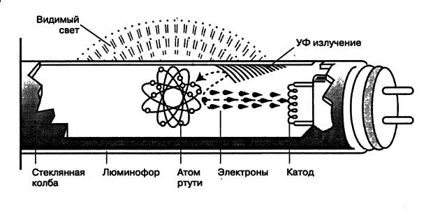 Tester une ampoule dans une voiture.