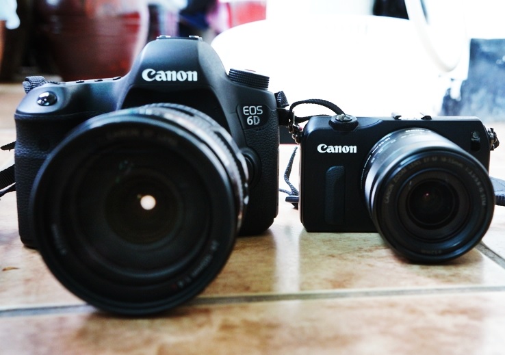 Appareils photo reflex numériques et sans miroir