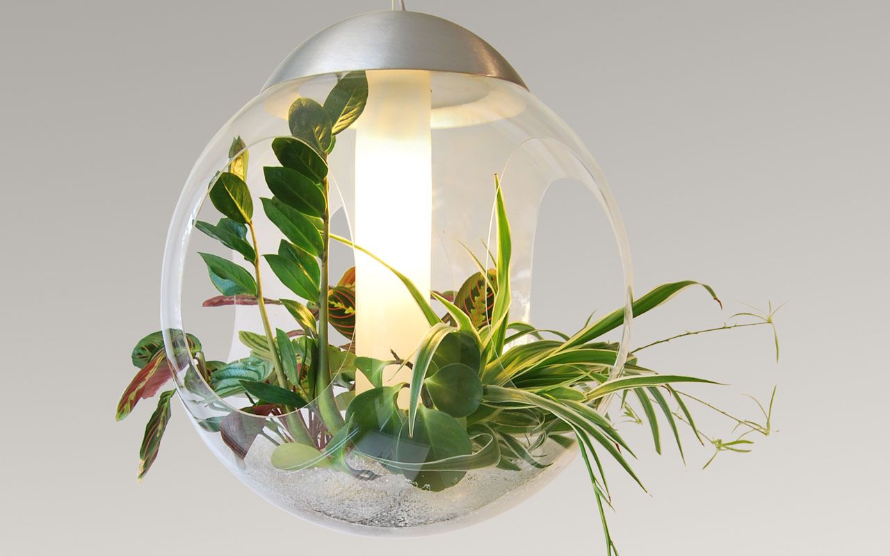 lampe avec des plantes