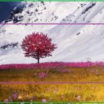 Qu’est-ce que le recadrage dans un appareil photo ?