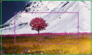 Qu’est-ce que le recadrage dans un appareil photo ?