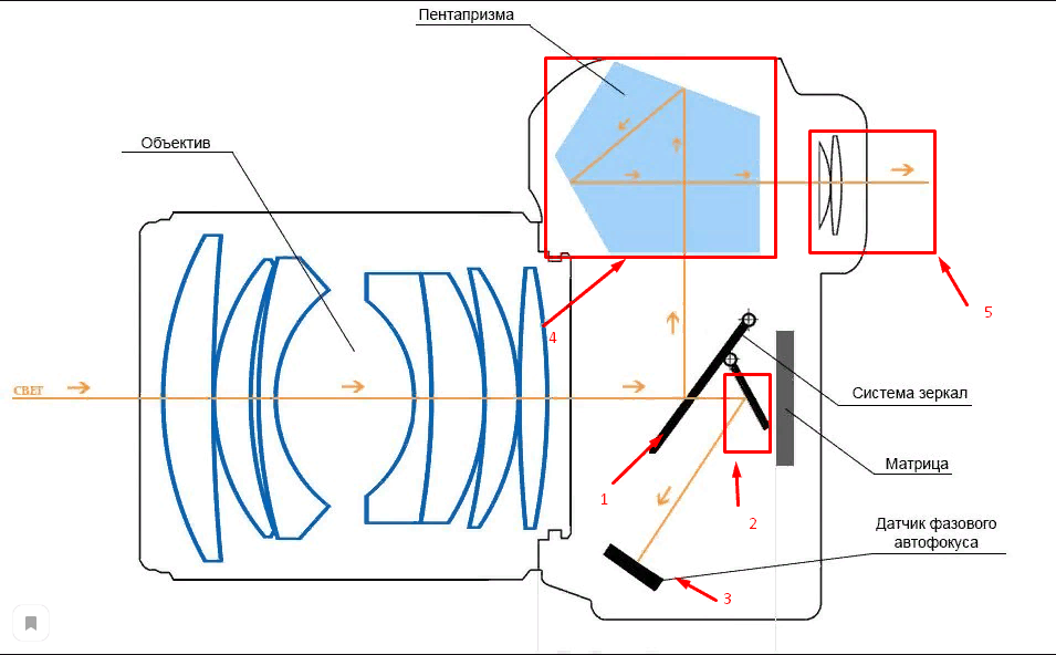 structure de la carcasse