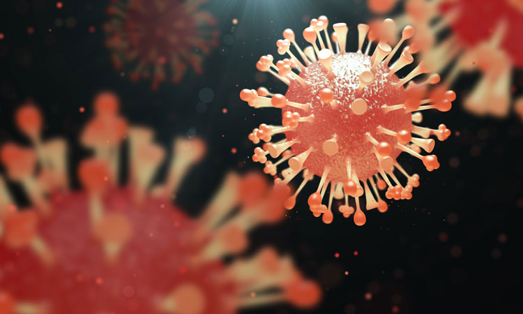 germes dans la maison