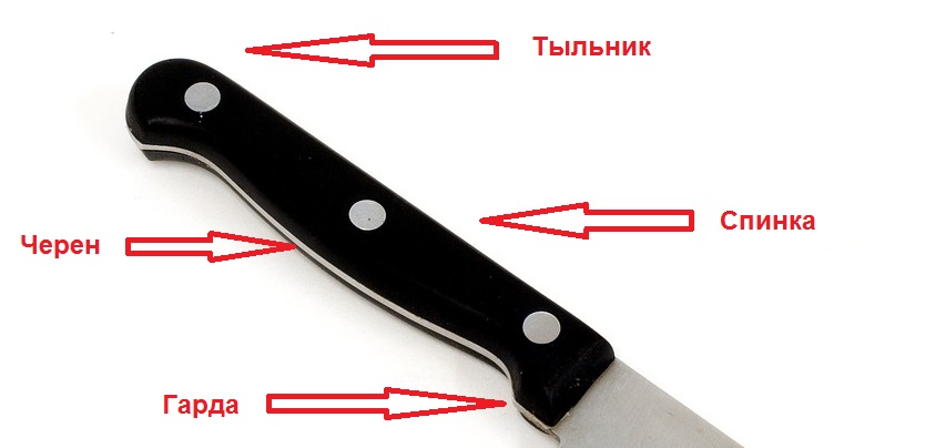 Structure de la poignée