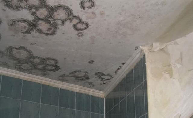 moisissure sous le plafond suspendu de la salle de bain