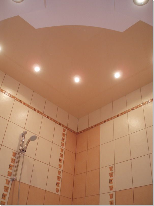 plafond suspendu dans la salle de bain