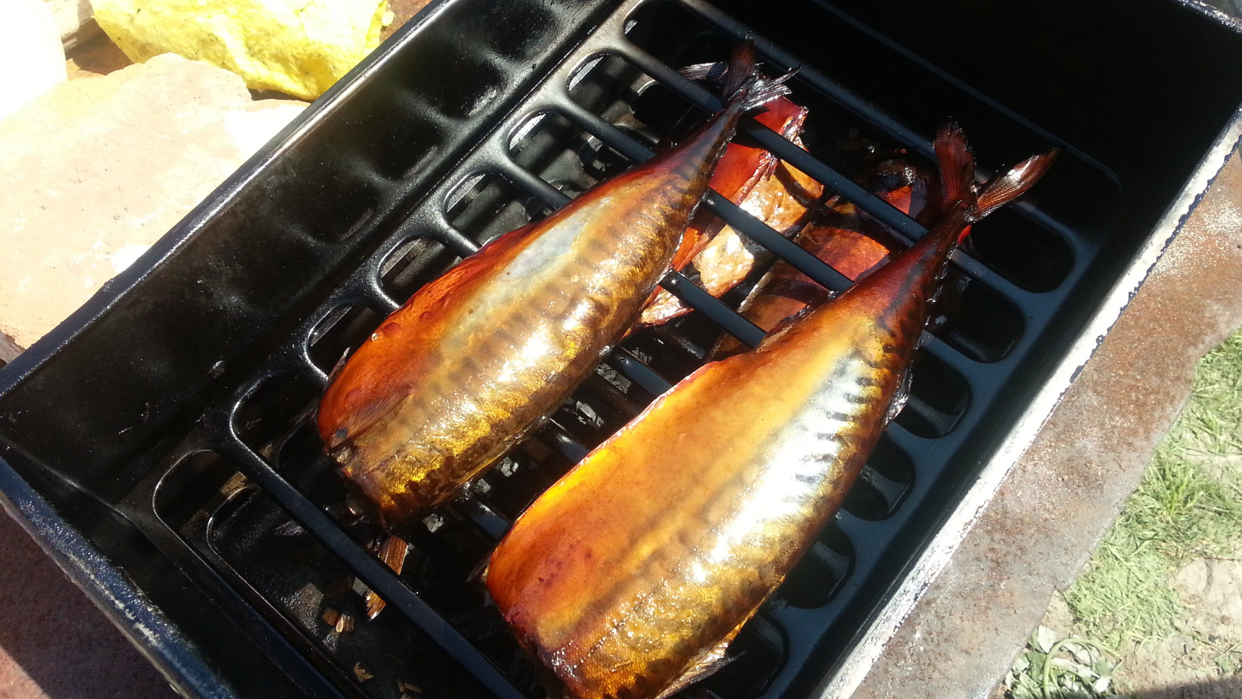 Poisson dans le fumoir